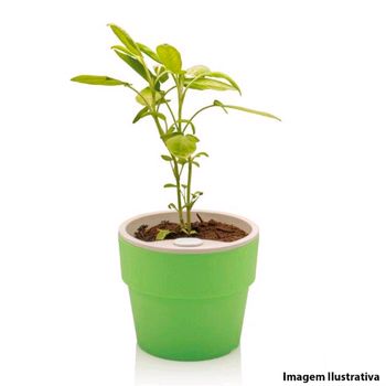 Vaso Autoirrigável Plantar Verde