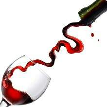 Mundo Vinho