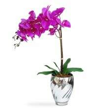 Vasos e Flores