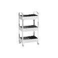 Organizador . Suprema 2098/499 . 40X28X77Cm 022414 . 2098/499
