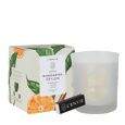 Vela Mandarina Ceylon 210G 104074170 . 104074170